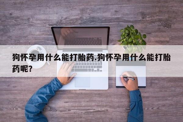 推荐个卖打胎药微信联系方式狗怀孕用什么能打胎药.狗怀孕用什么能打胎药呢？