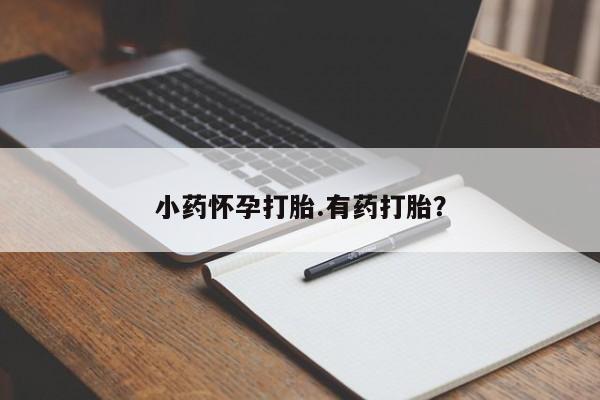 推荐个卖打胎药微信联系方式小药怀孕打胎.有药打胎？