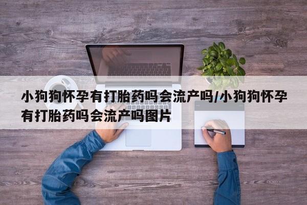 推荐个卖打胎药微信联系方式小狗狗怀孕有打胎药吗会流产吗/小狗狗怀孕有打胎药吗会流产吗图片
