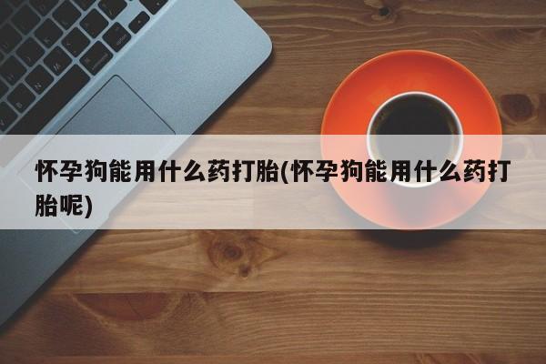 推荐个卖打胎药微信联系方式怀孕狗能用什么药打胎(怀孕狗能用什么药打胎呢)